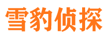 衡东调查事务所